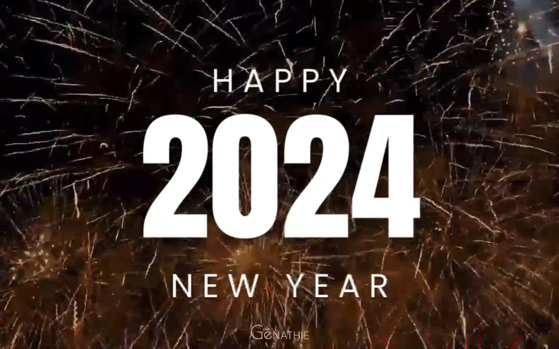 Voeux 2024